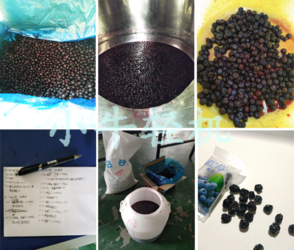 蓝莓真空浸糖